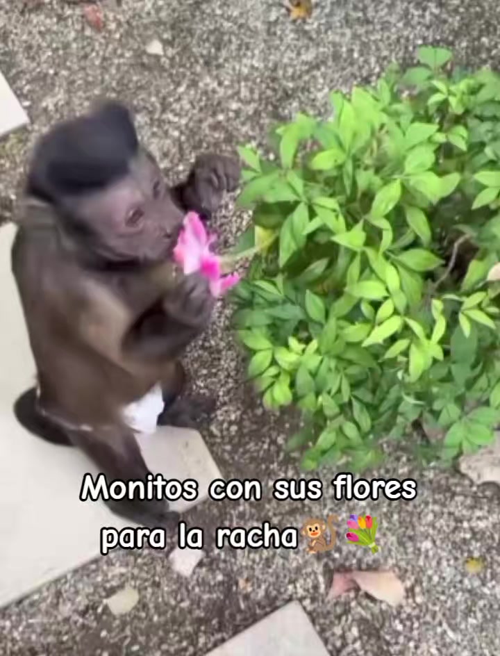 @ℙ𝕣𝕚𝕤𝕔𝕚𝕝𝕒🥰❤️🙉🙈🍌