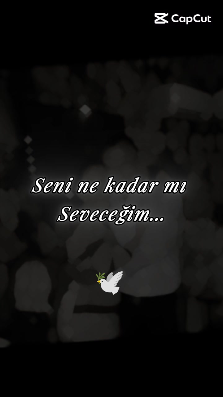 @Tuncay Tuğ&ccedil;e Yıldız