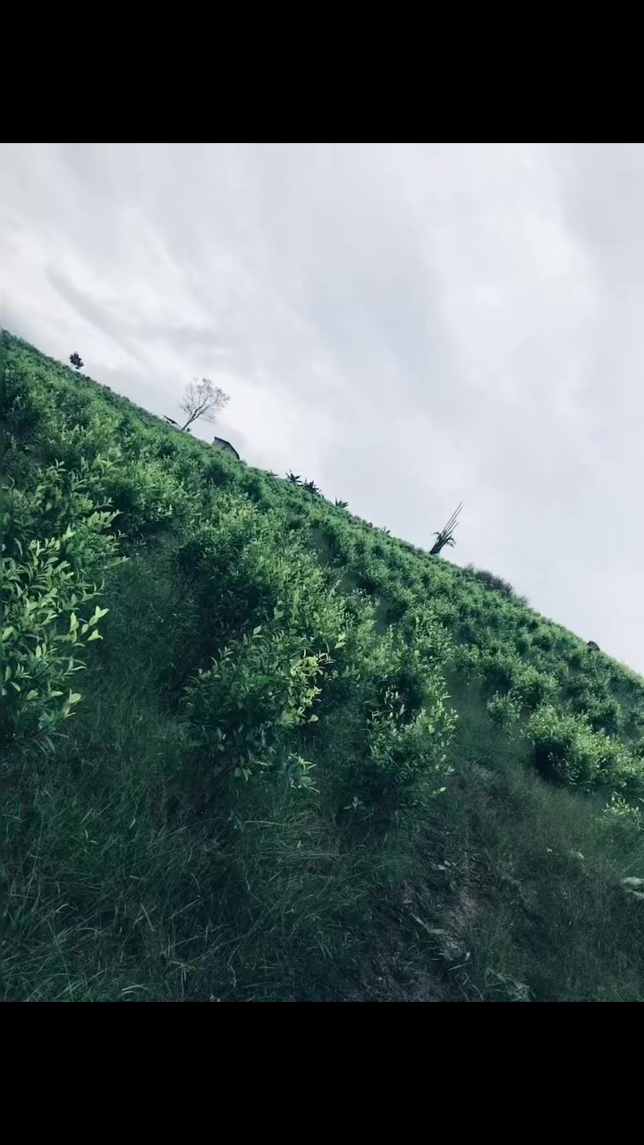 @Shaira🦋⚡️