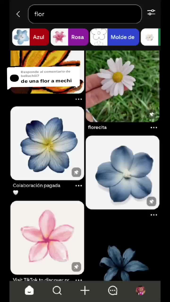 @𓆉︎★caluchi(ine's versión)★𓆉︎