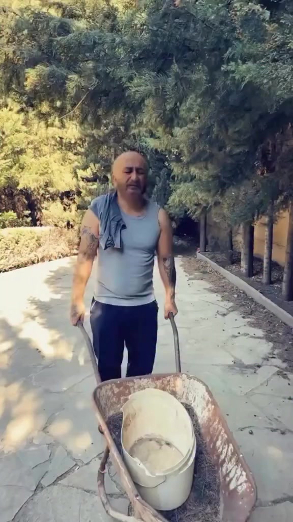 @lanetkel