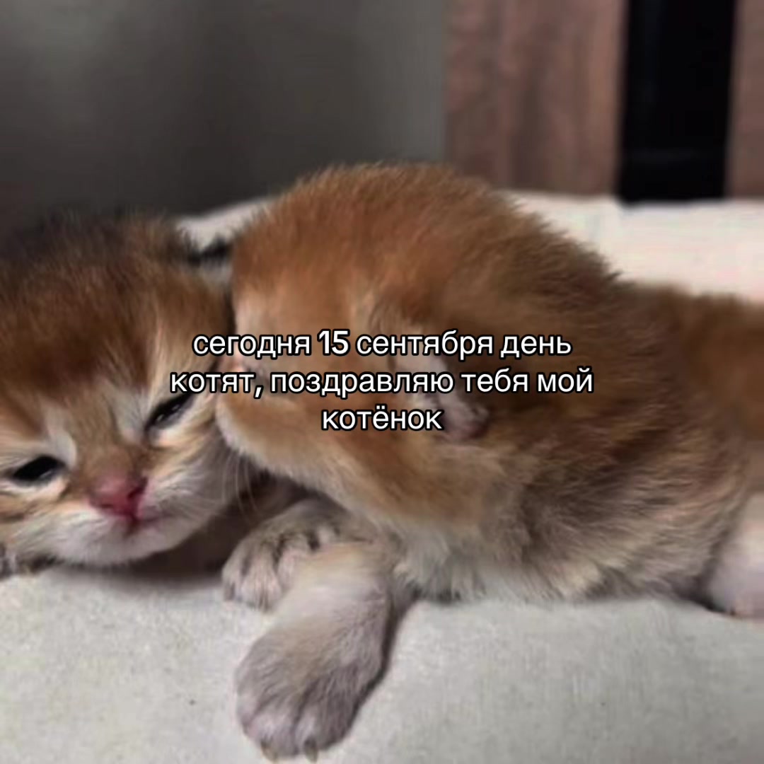 @Х̶И̶Т̶Ы̶ У̶ П̶Л̶И̶Т̶Ы̶🎧