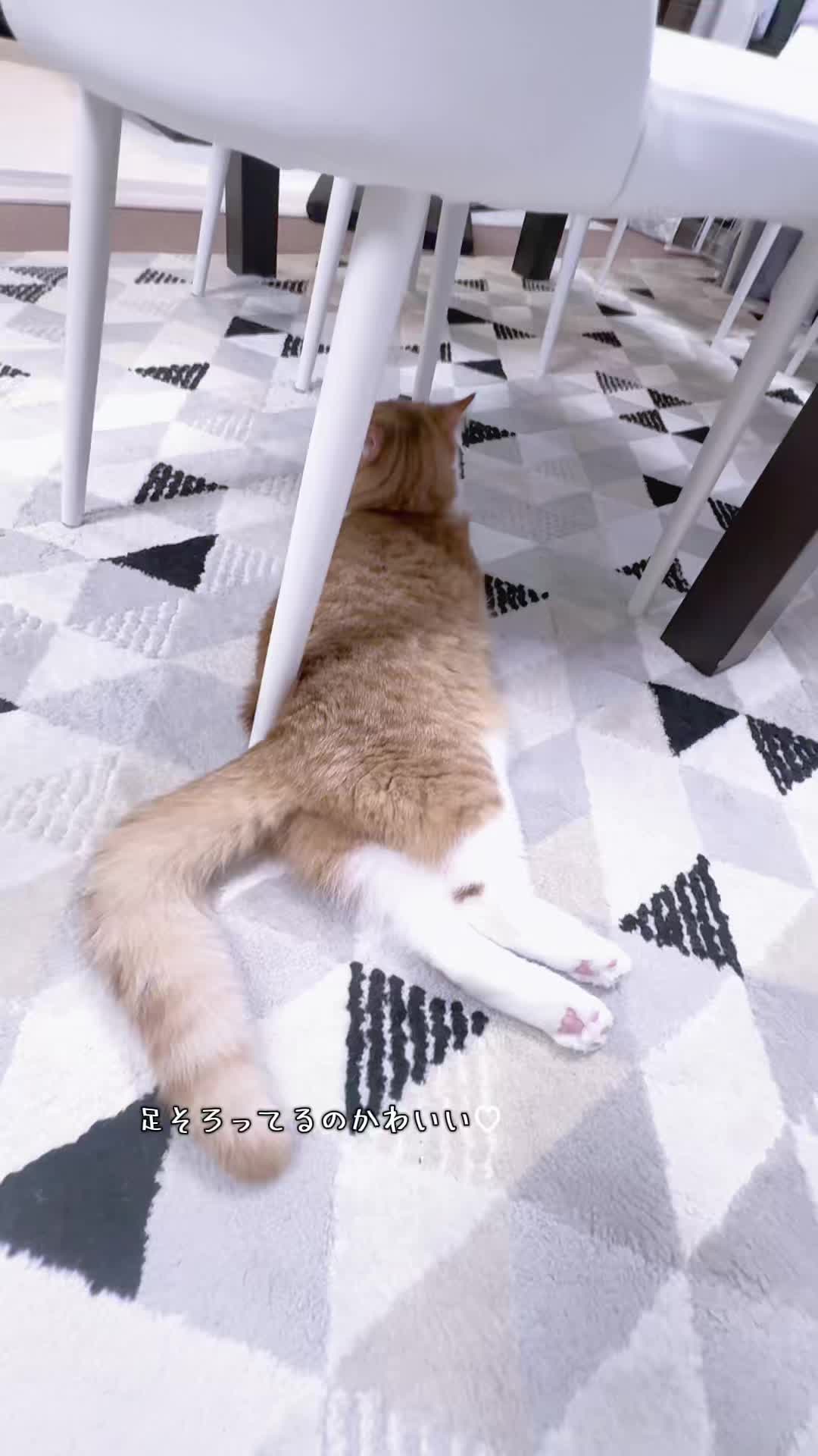 @マロン