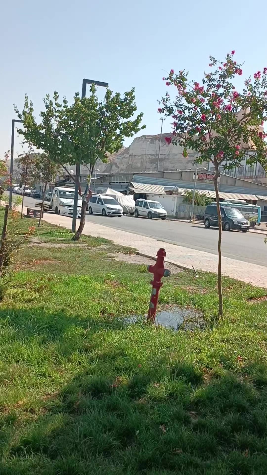 @Ahmet Fฤฑrat