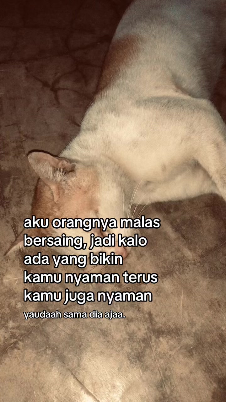 @fikarr