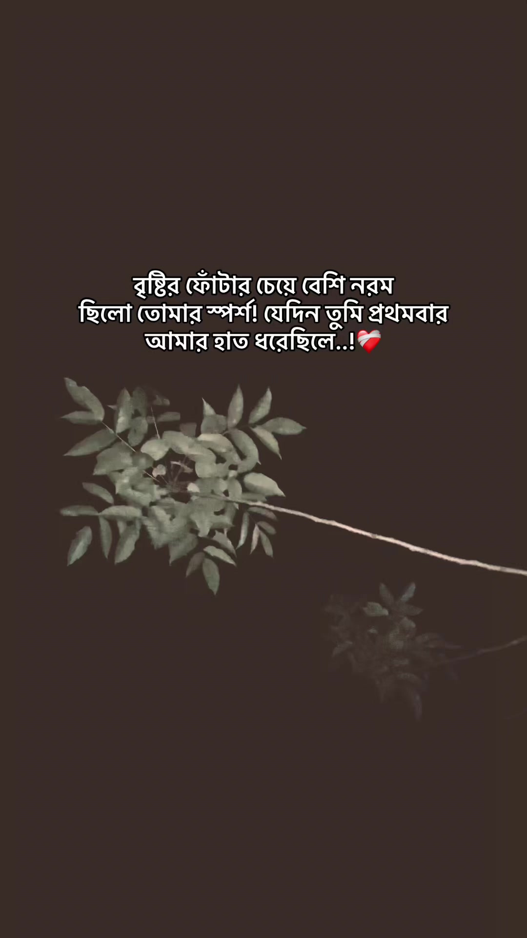 @the_spydoo🕸️ 🥏