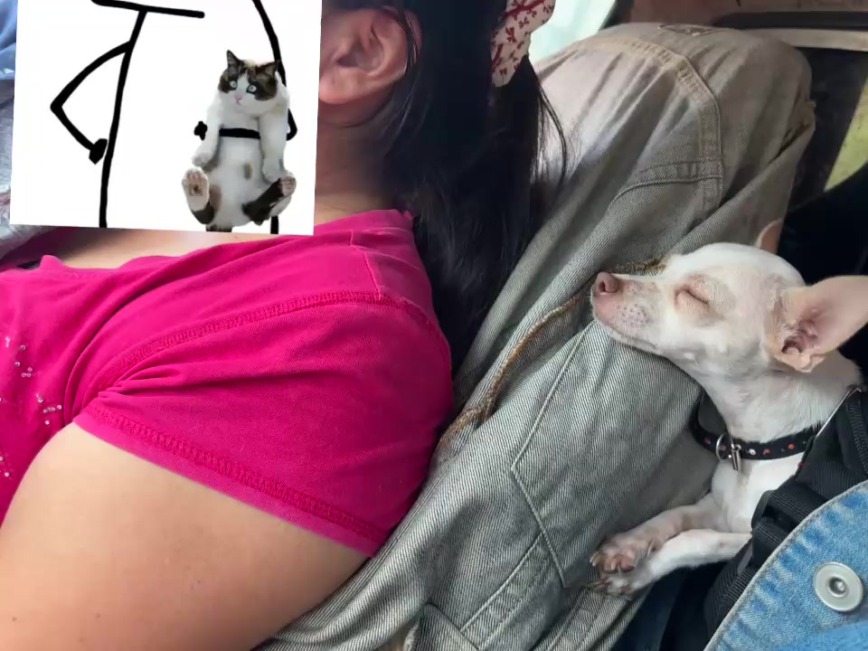 @kevinherrera648