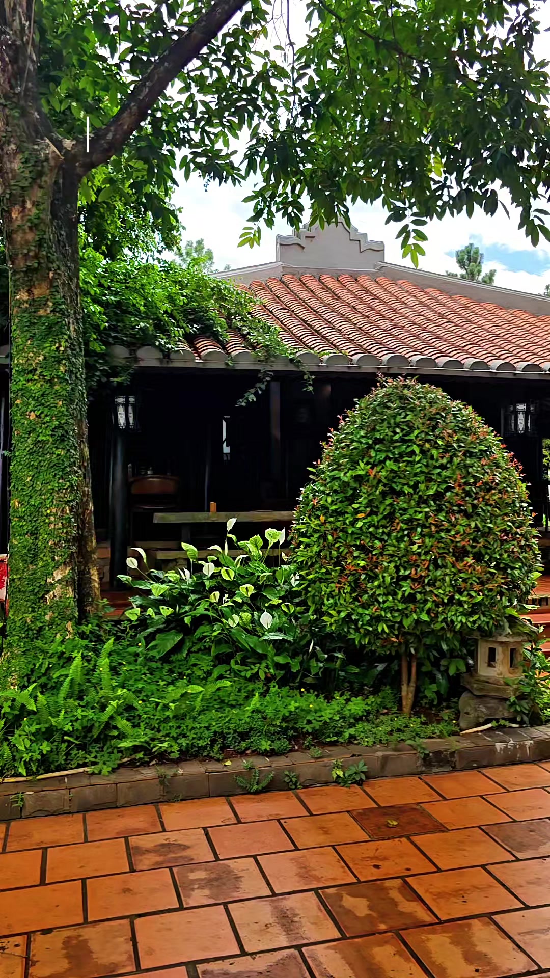 @Sen Hồng