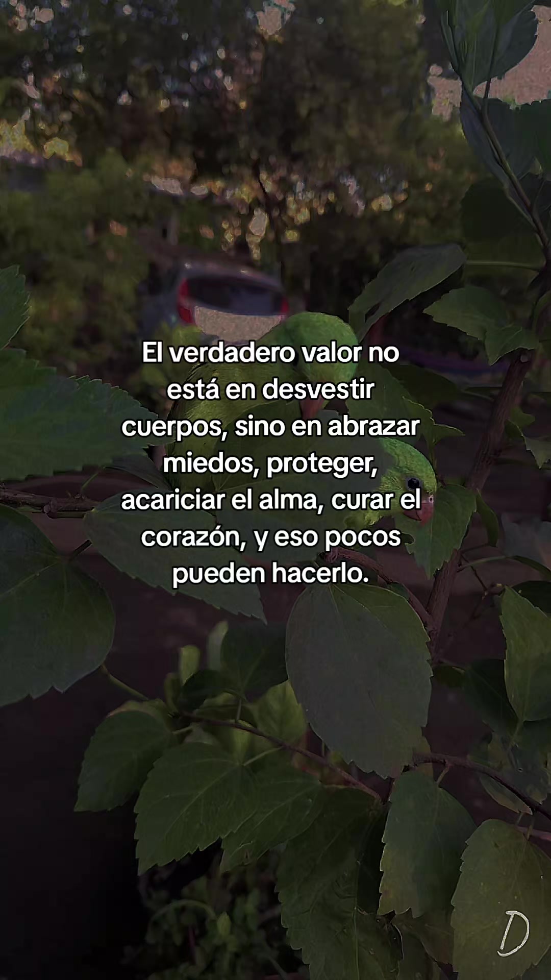 @ABI RODRIGUEZ