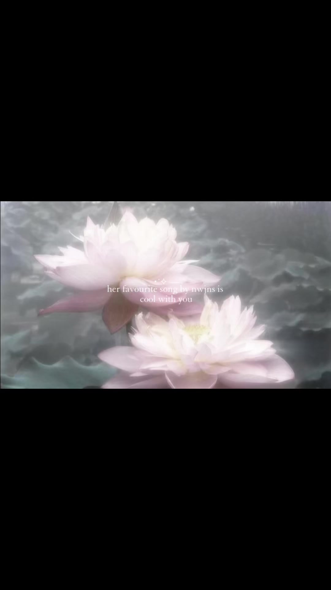 @ana ⋆˙⟡
