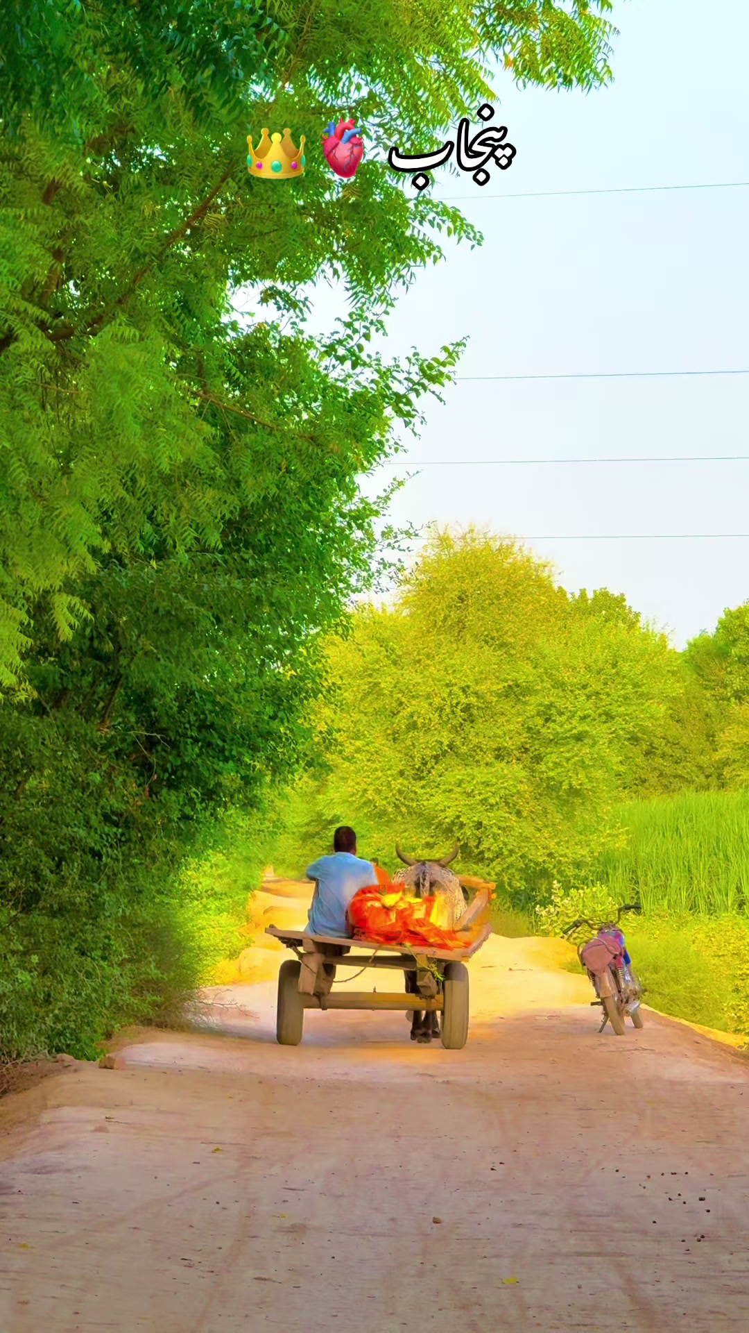 @پنجابی کلچر 🌾🍂