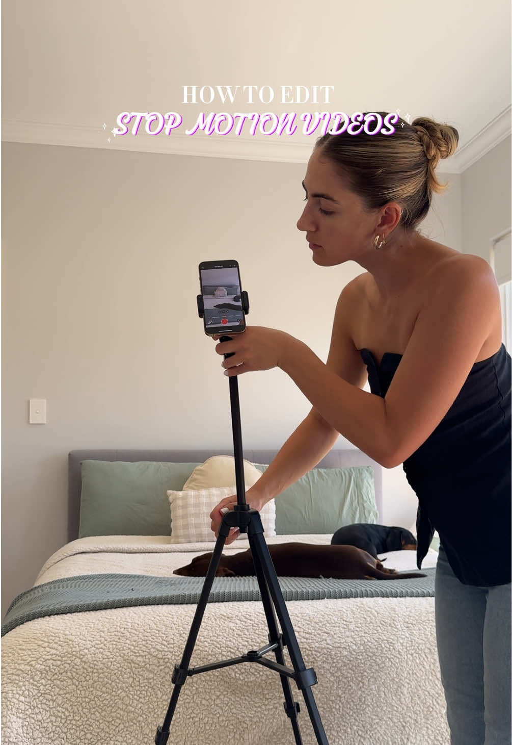 @skylarkioko
