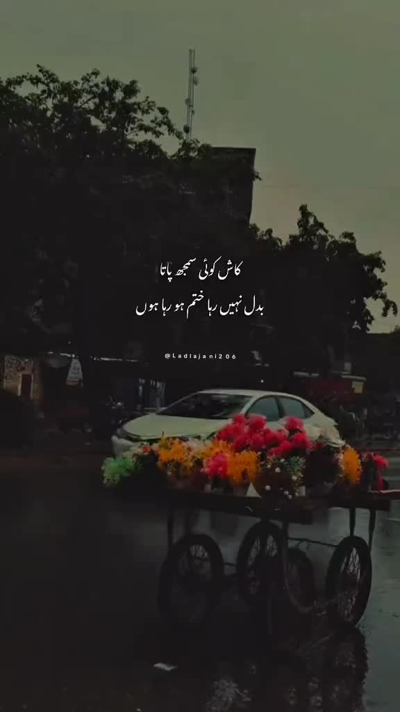 @༆𝓓𝓲𝓵𝓵 𝓭𝓪 𝓳𝓪𝓷𝓲 ✨