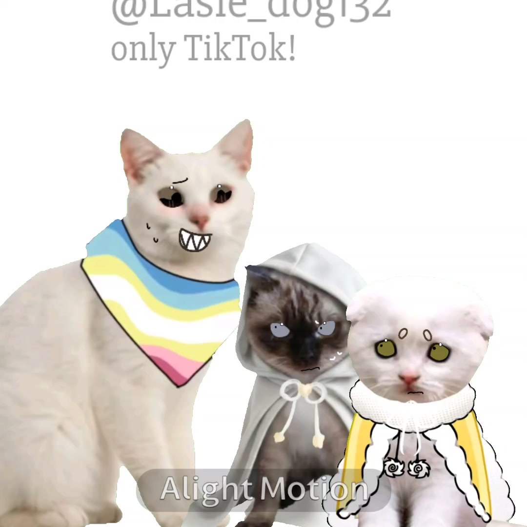 @собака Лейси👑|||🐶✅🐱✅