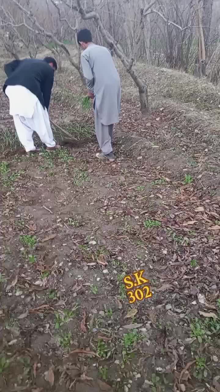 @Sycoo Bangash