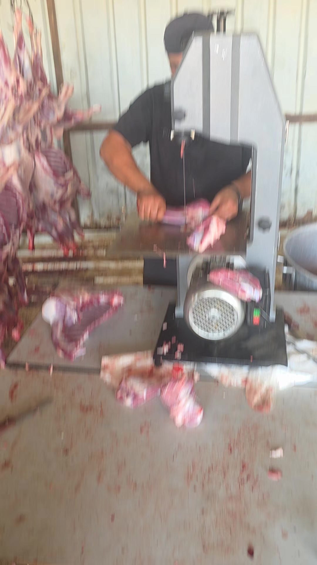 @رامي تبرنه