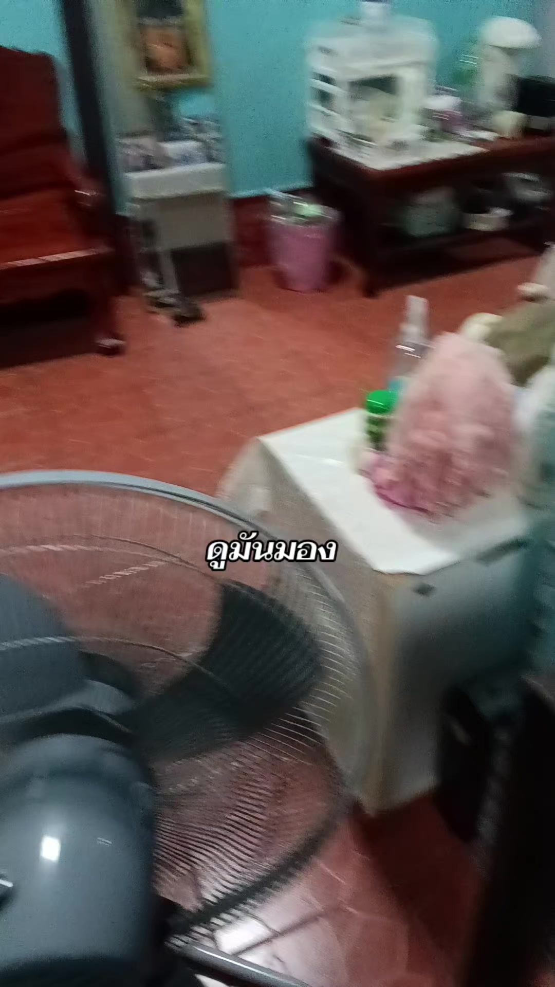 @NAME4417TIKTOX_PIME