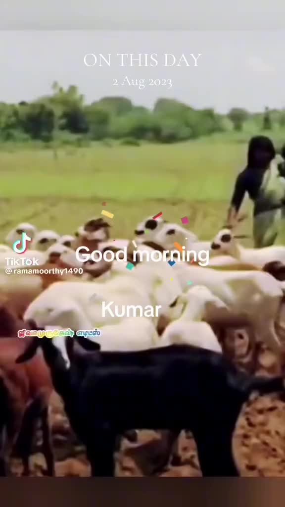 @Kumar ❤️❤️🇦🇺🇦🇺🇦🇺✈️✈️