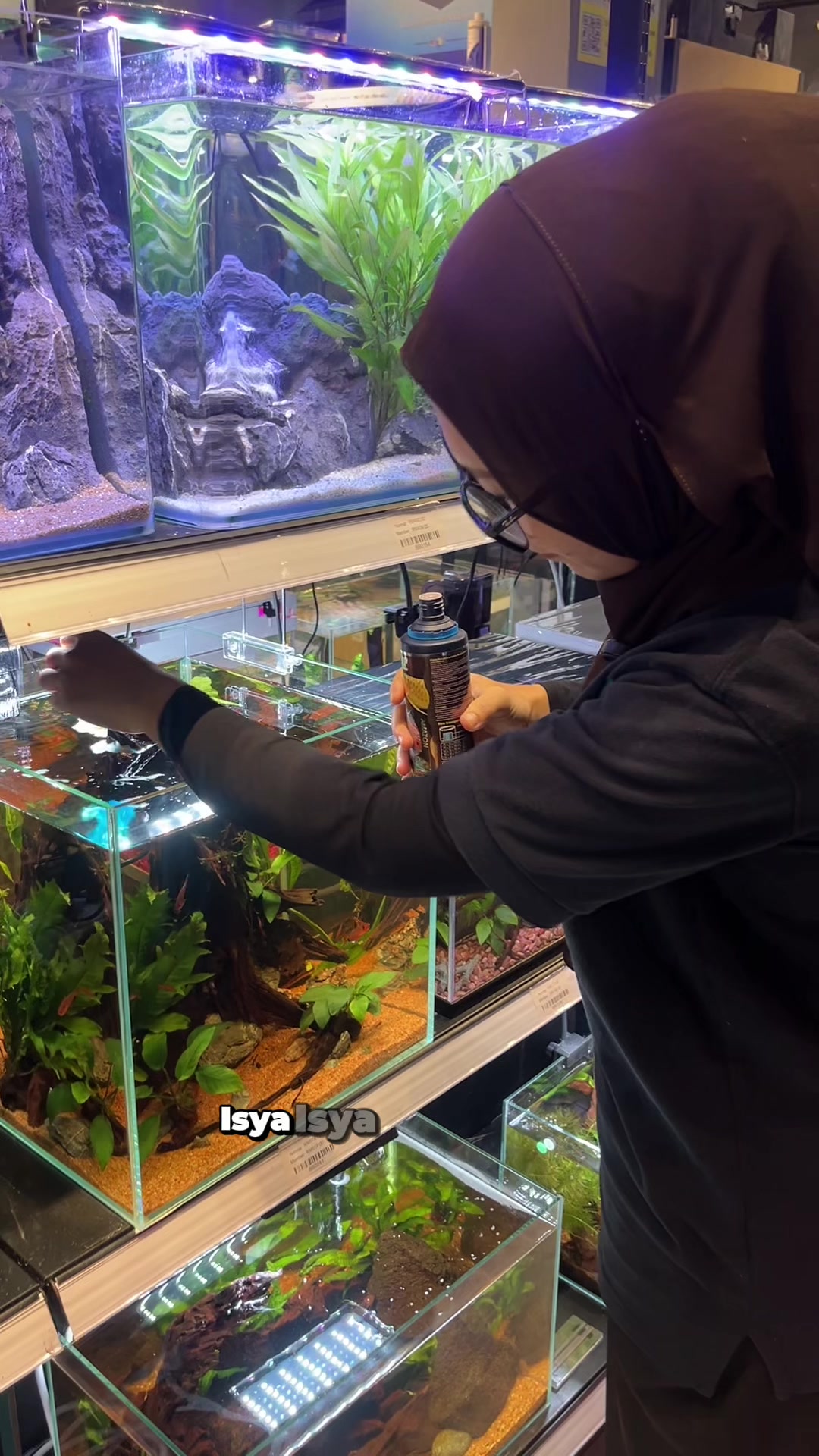 @Pearl Aquatics