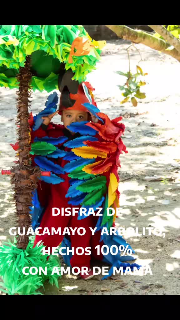 @Aryed