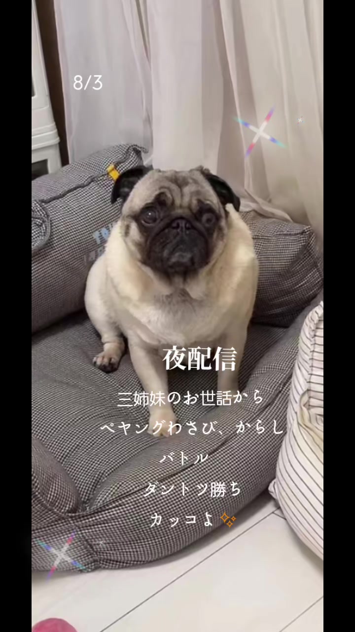 @kira _♡kira2✨✨🧊💗