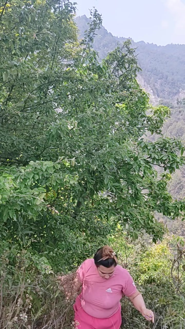 @अनिसा नेपाल