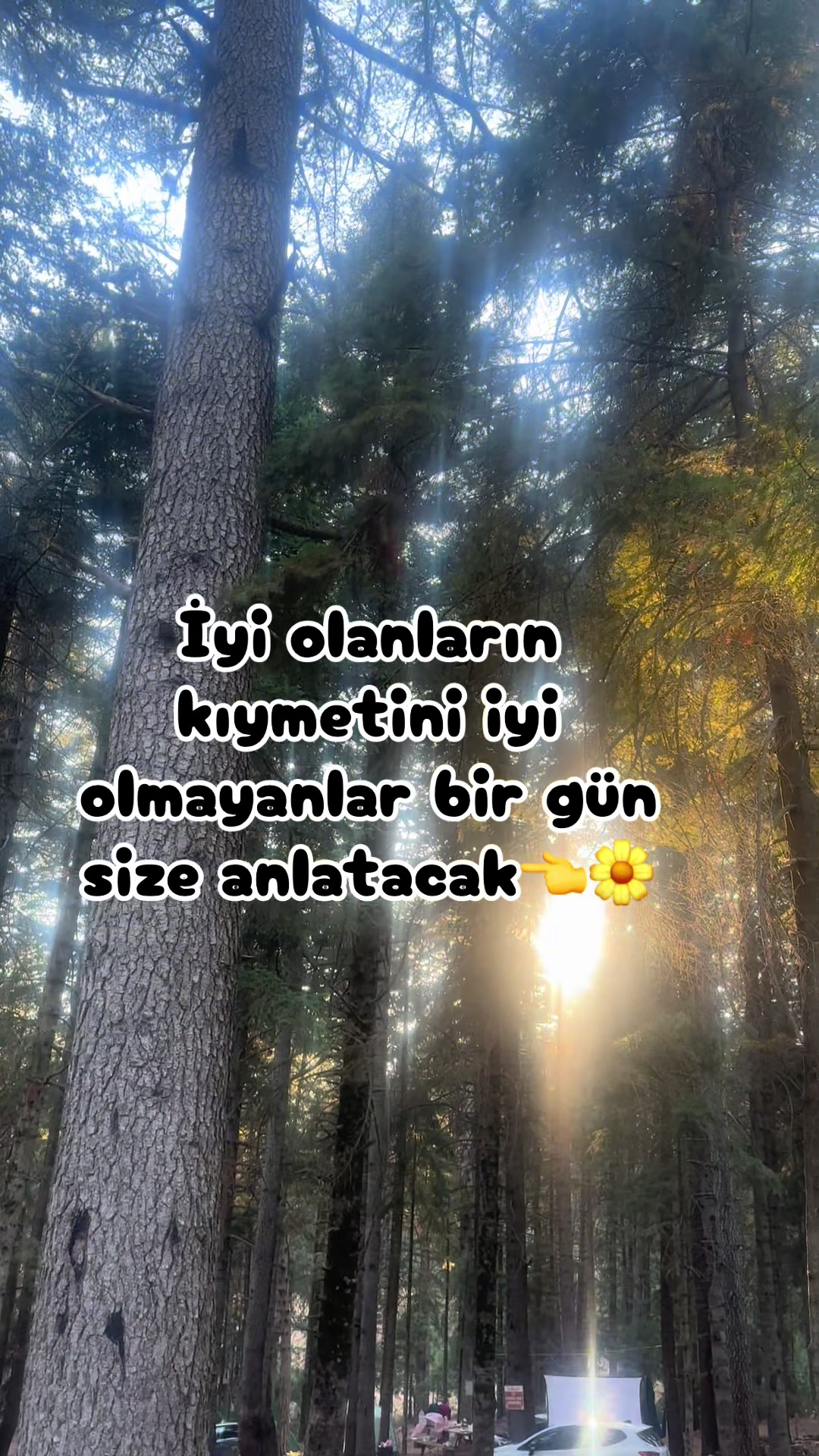 @papatyamm