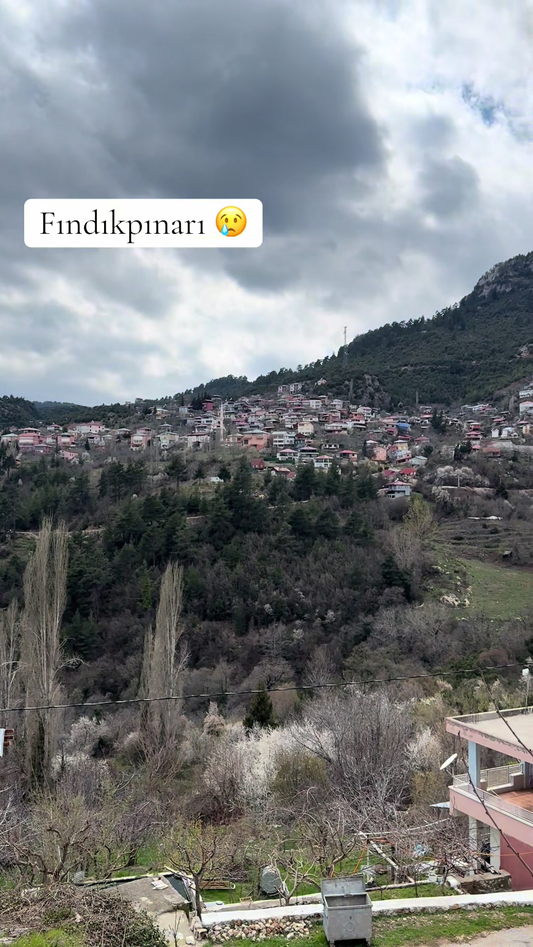 @Halil33 