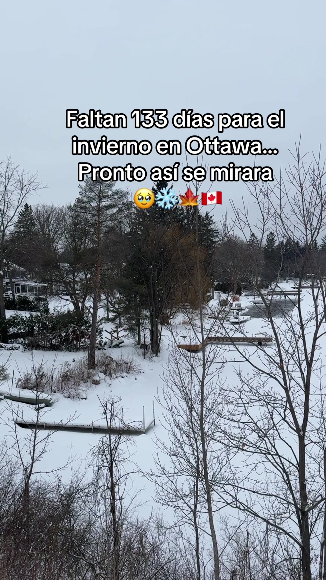 @Tony en Canada