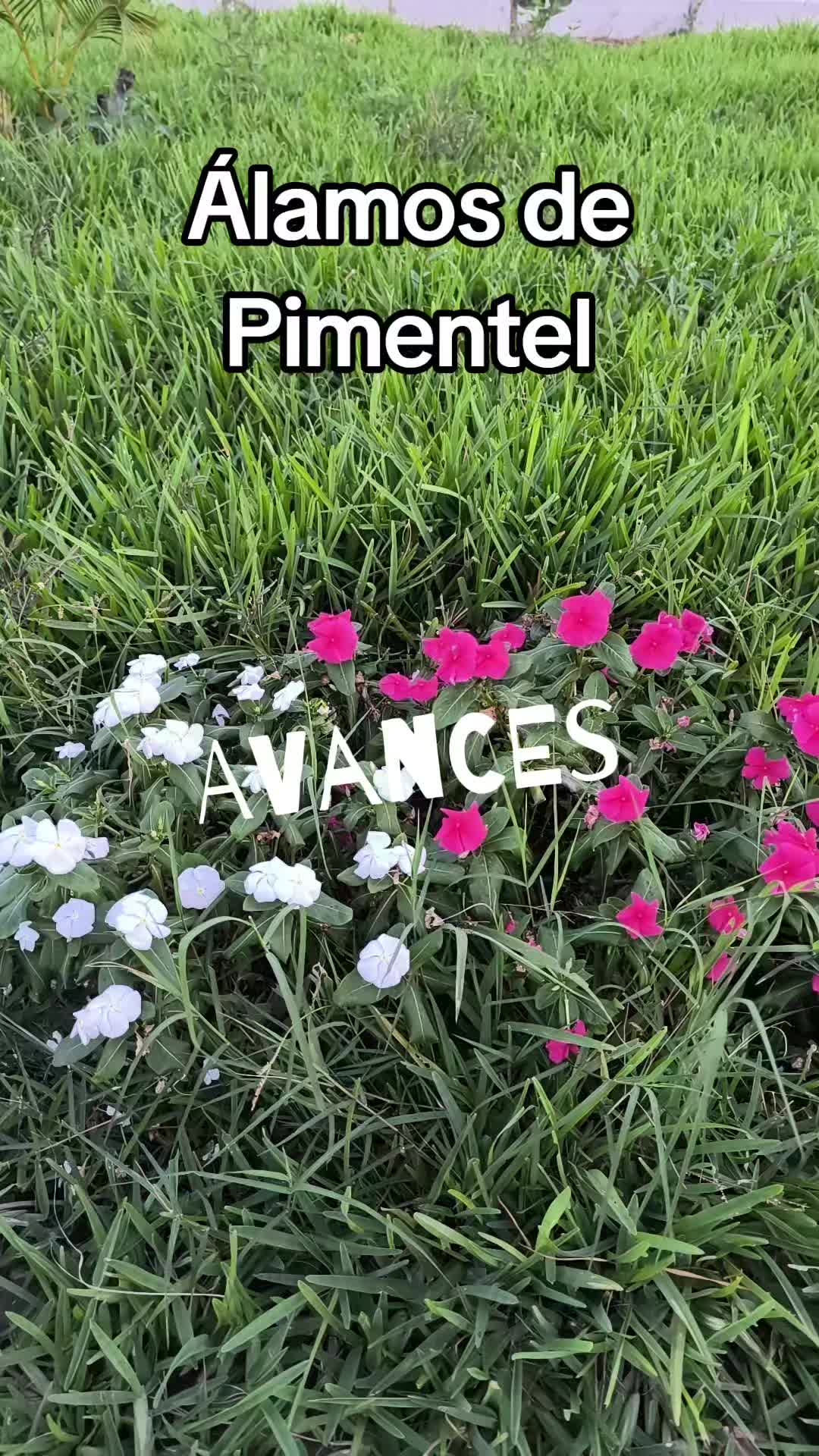 @Tania Linares Cruzado