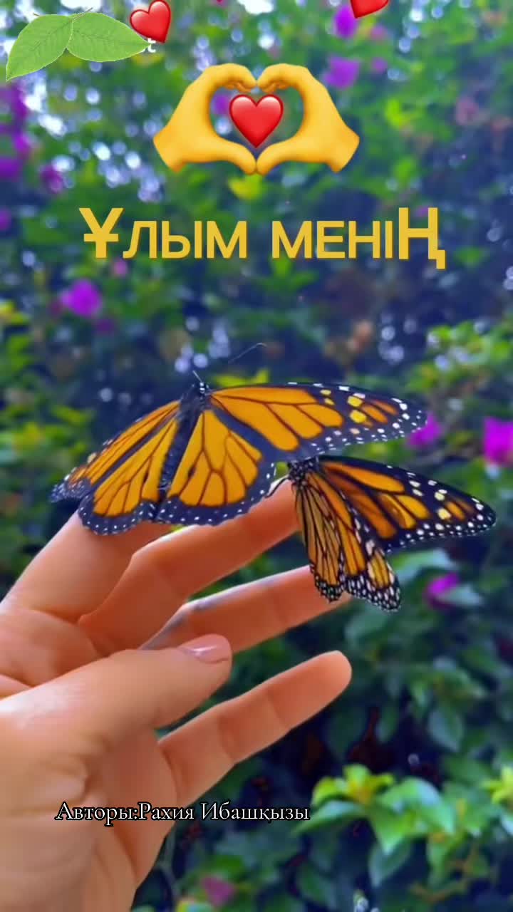 @Р.И.М