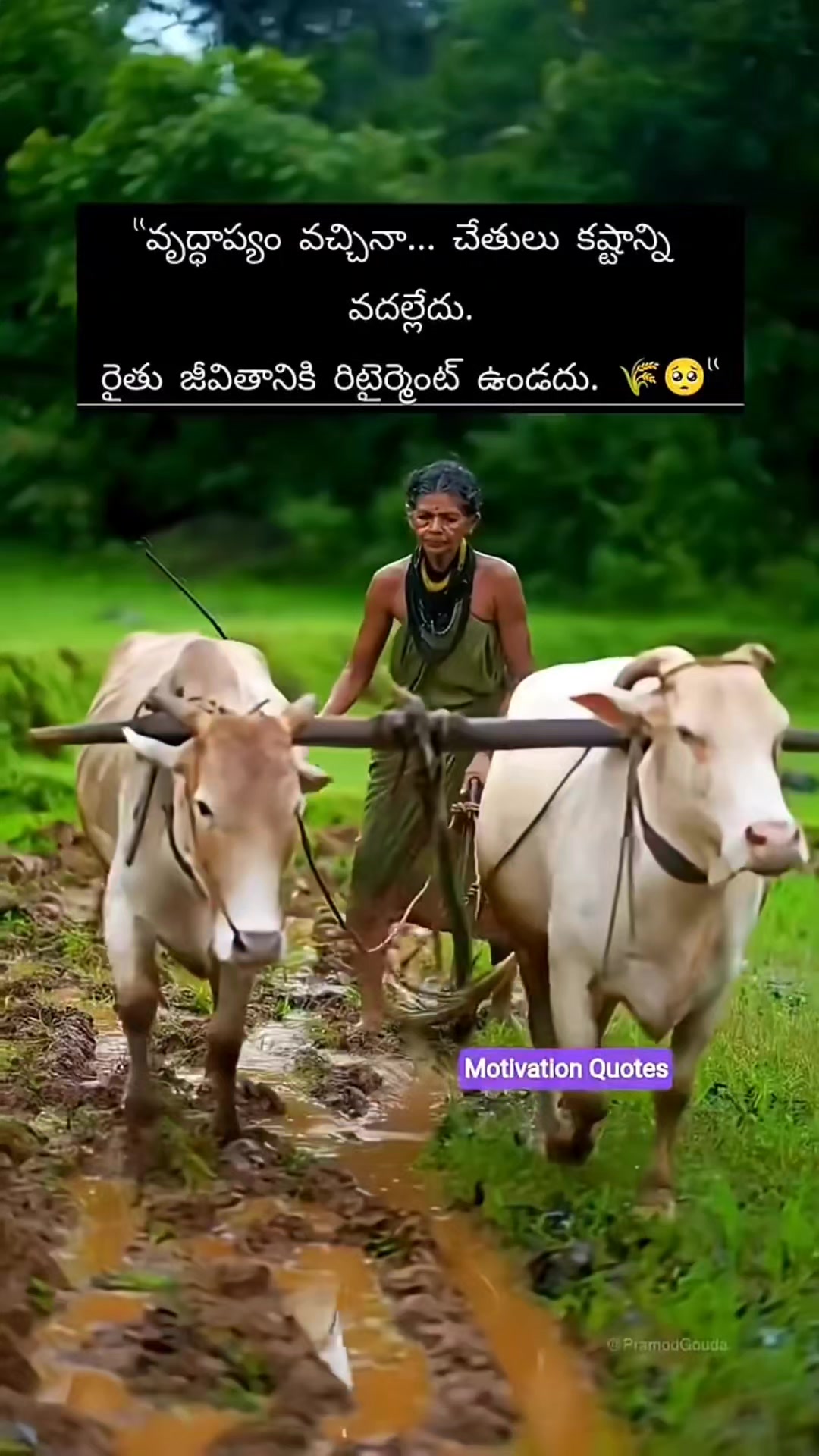 @Akula Rajanna
