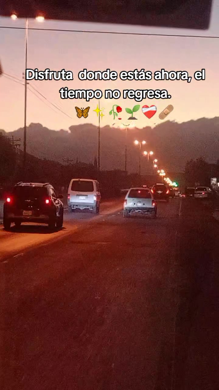 @roxanarojas664