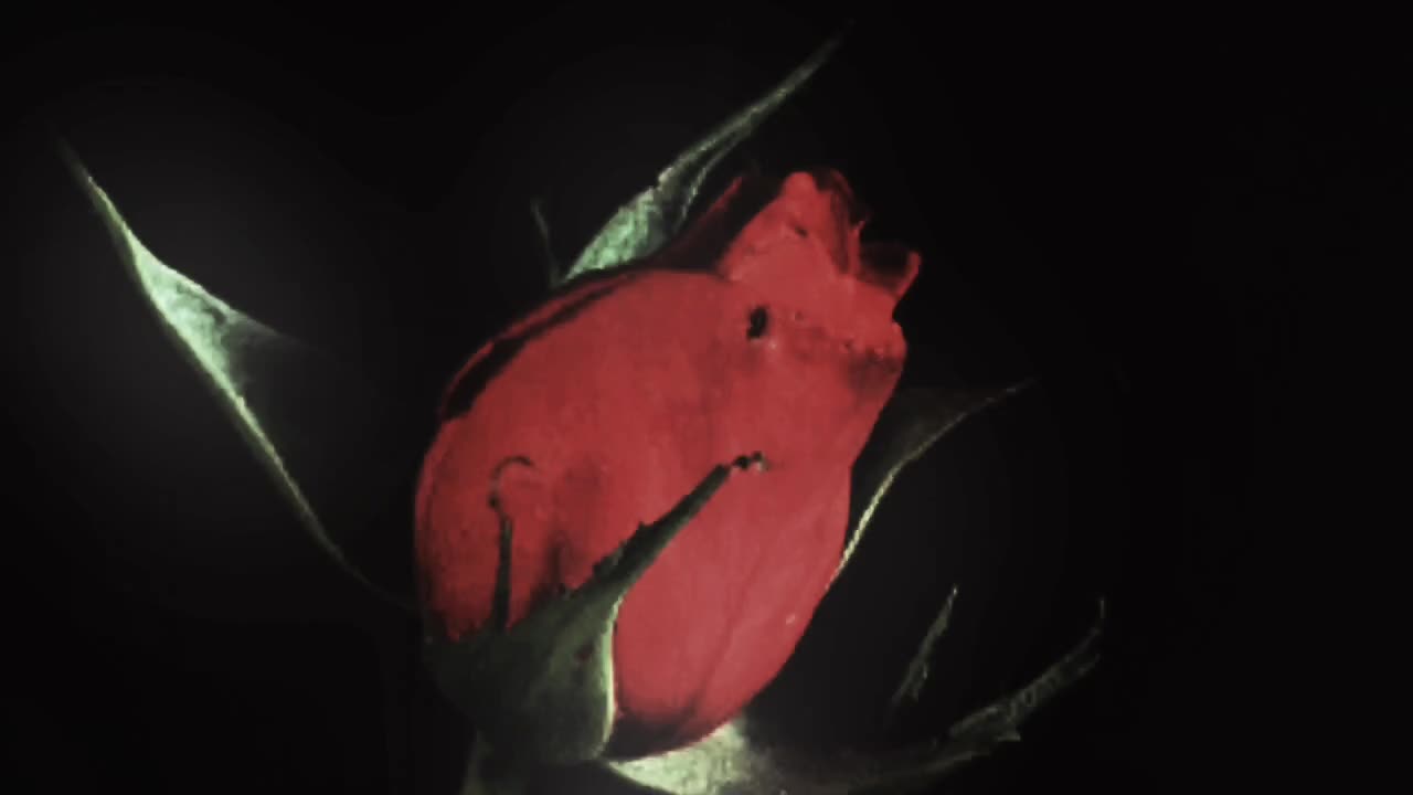 @𝑻𝒖𝒓𝒏𝒆𝒓