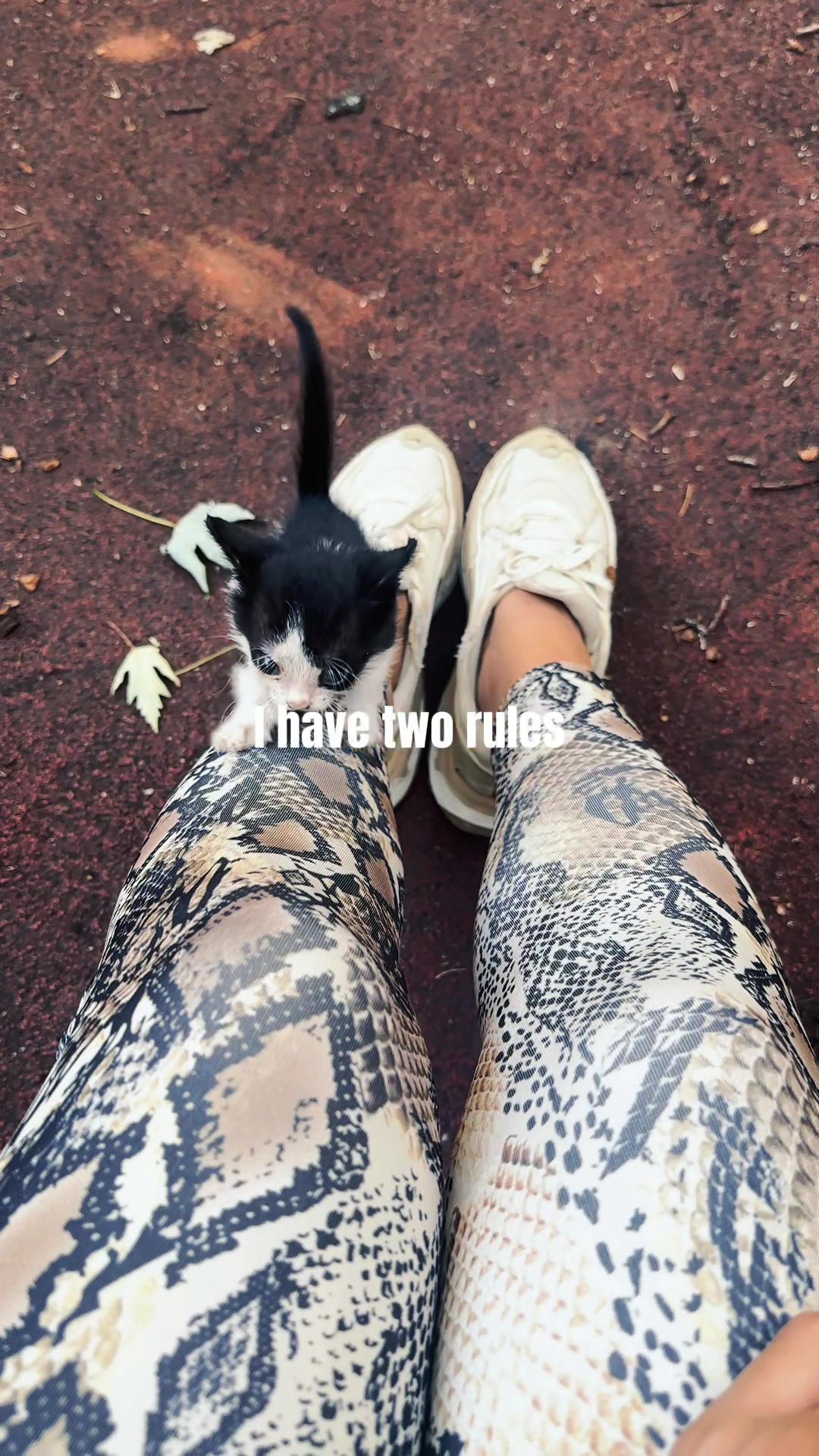 @cosanostrapurr