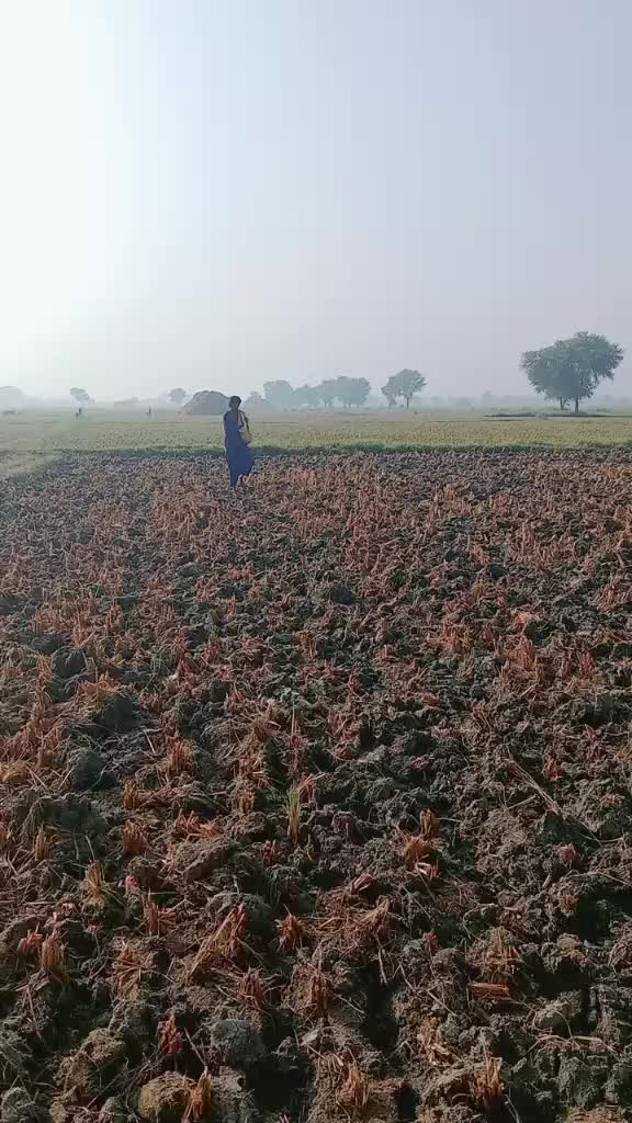 @Asif Jakhrani