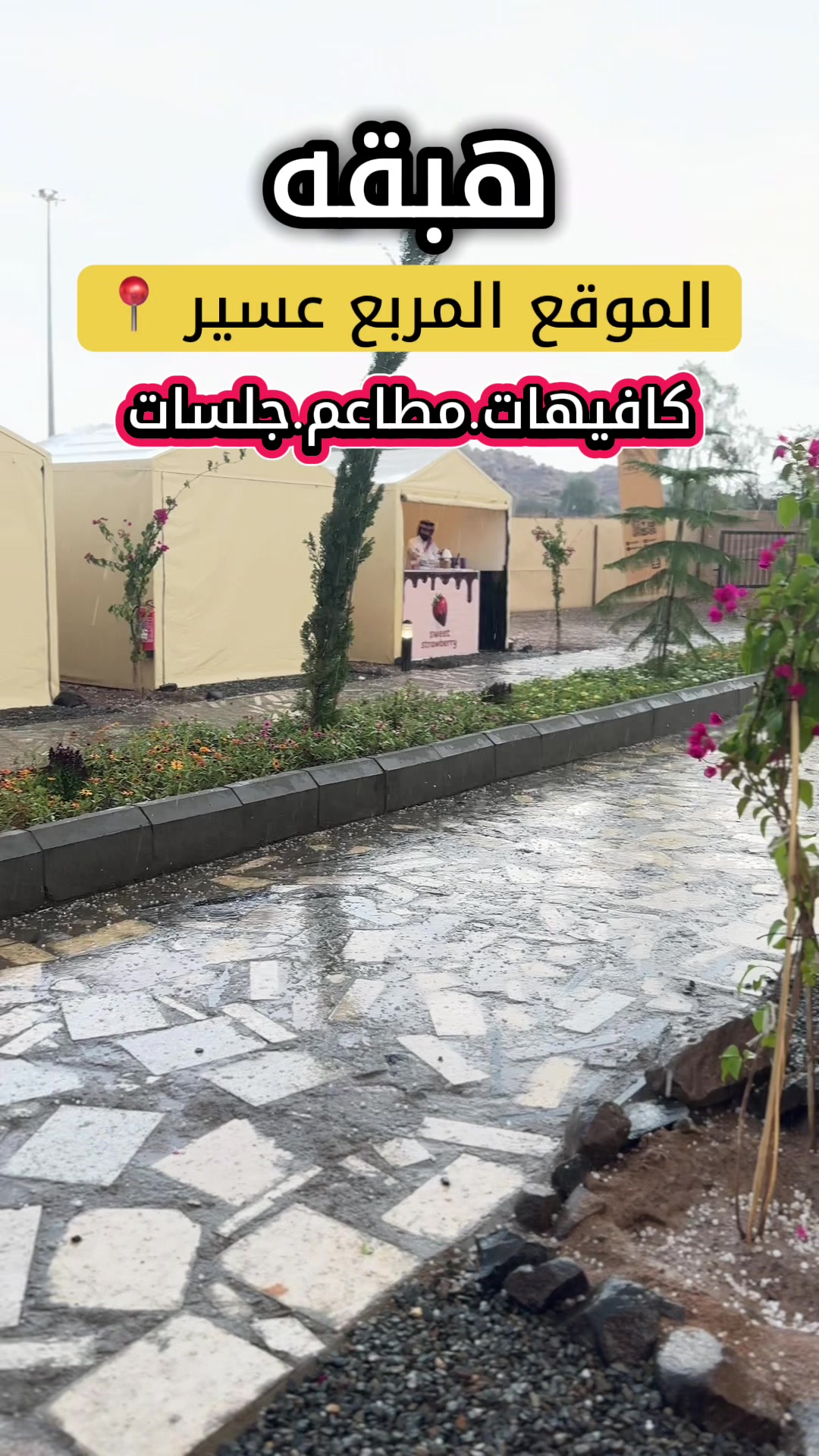 @فوزالعلگمي | للتغطيات🪴