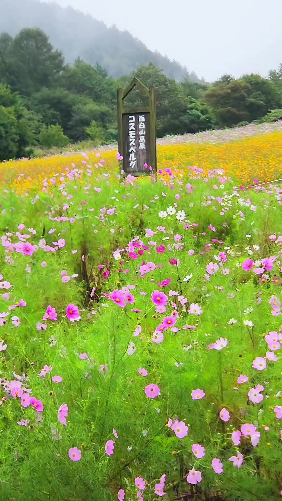 @ばっしー 東北を旅する人