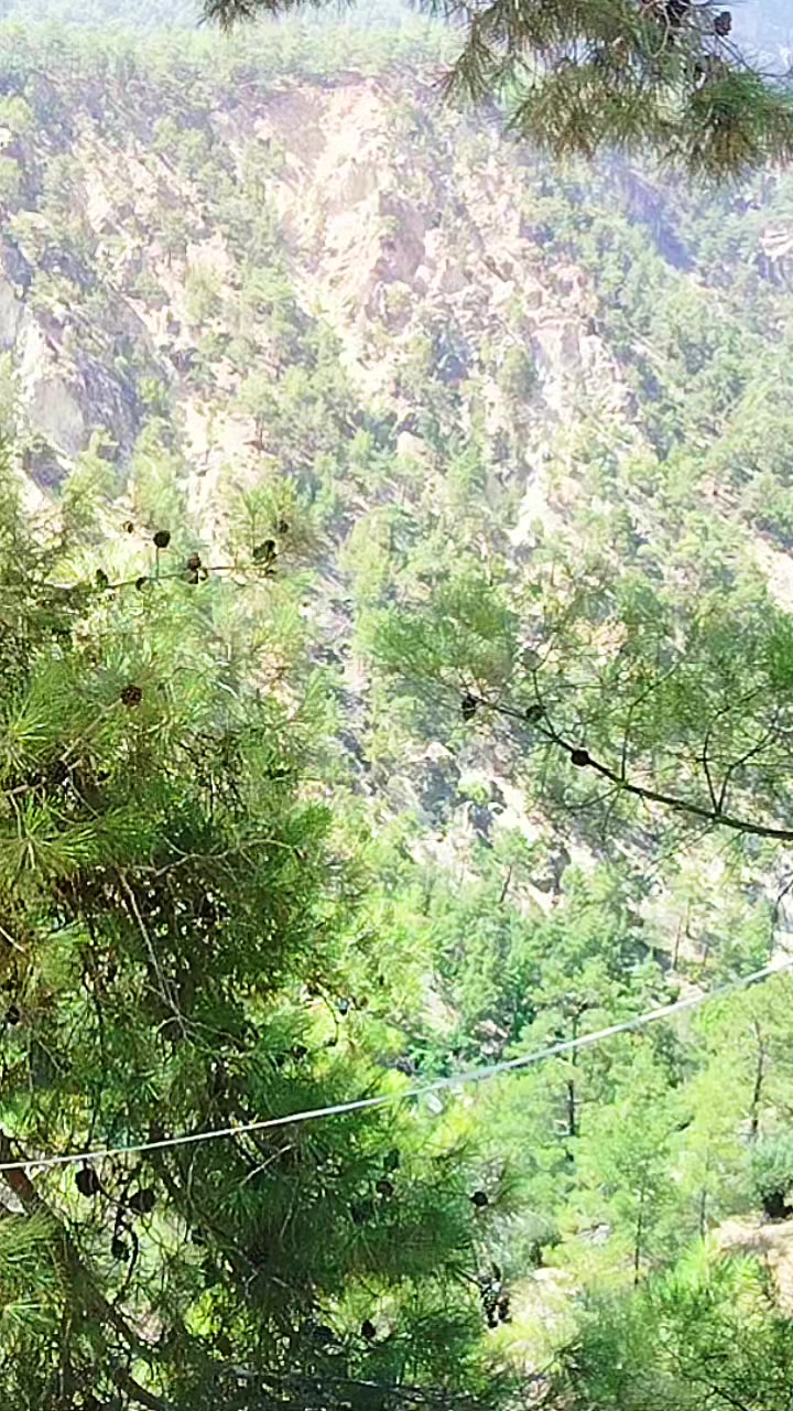 @YUNUS GÜNDÜZ KAAN