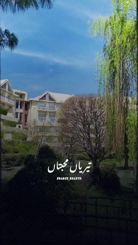 @Mian Saeed