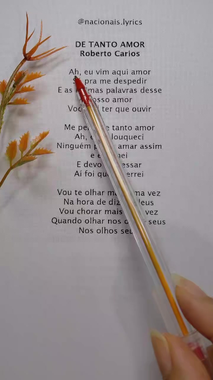 @nacionais lyrics