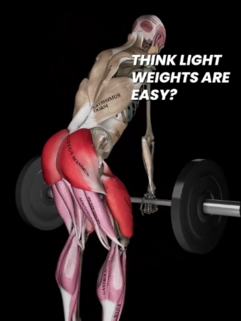 @Muscle & Motion