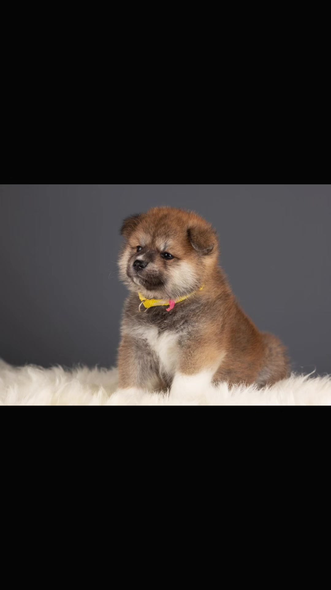 @oh_myakita