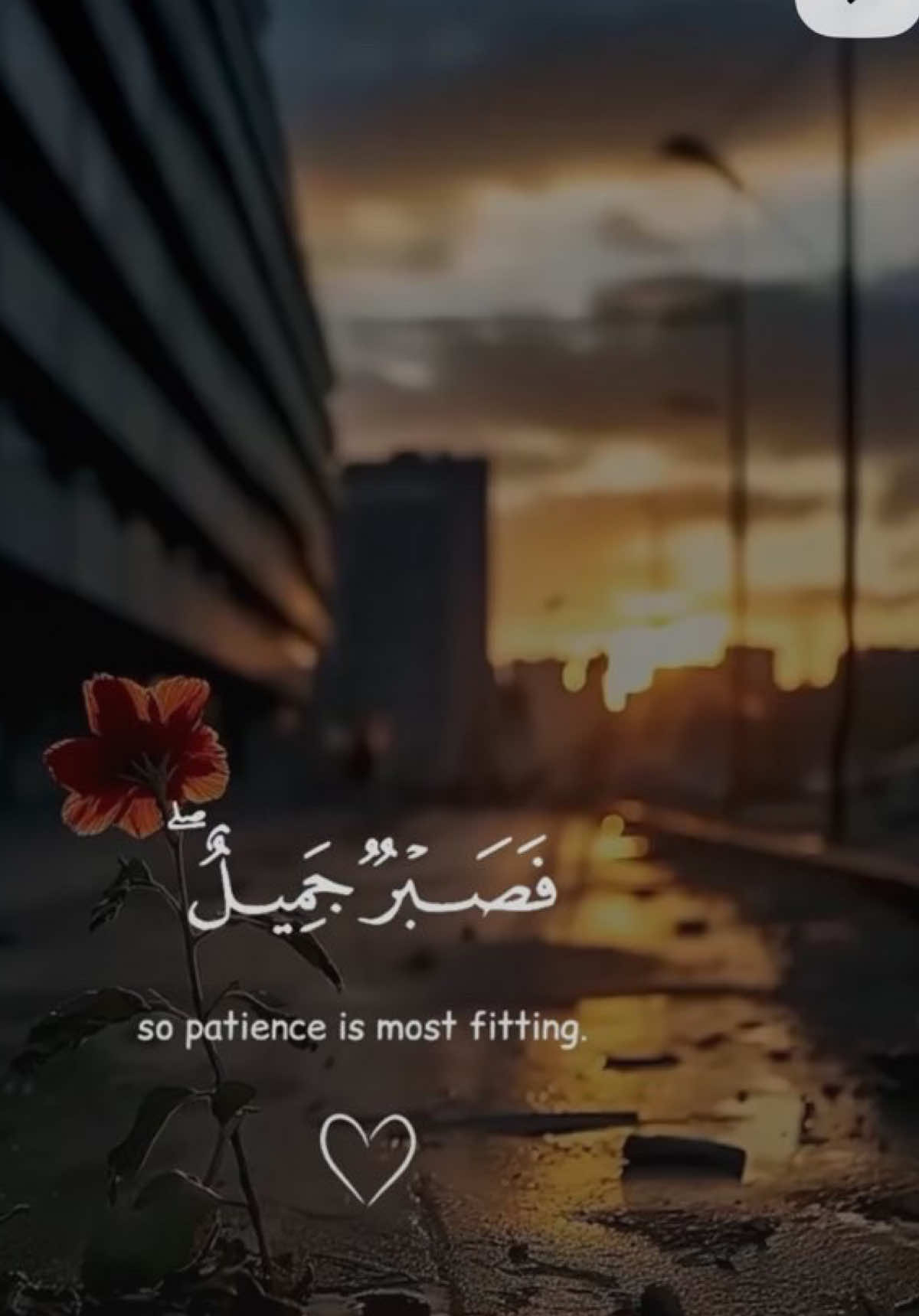 @♛﮼دخوووووُون