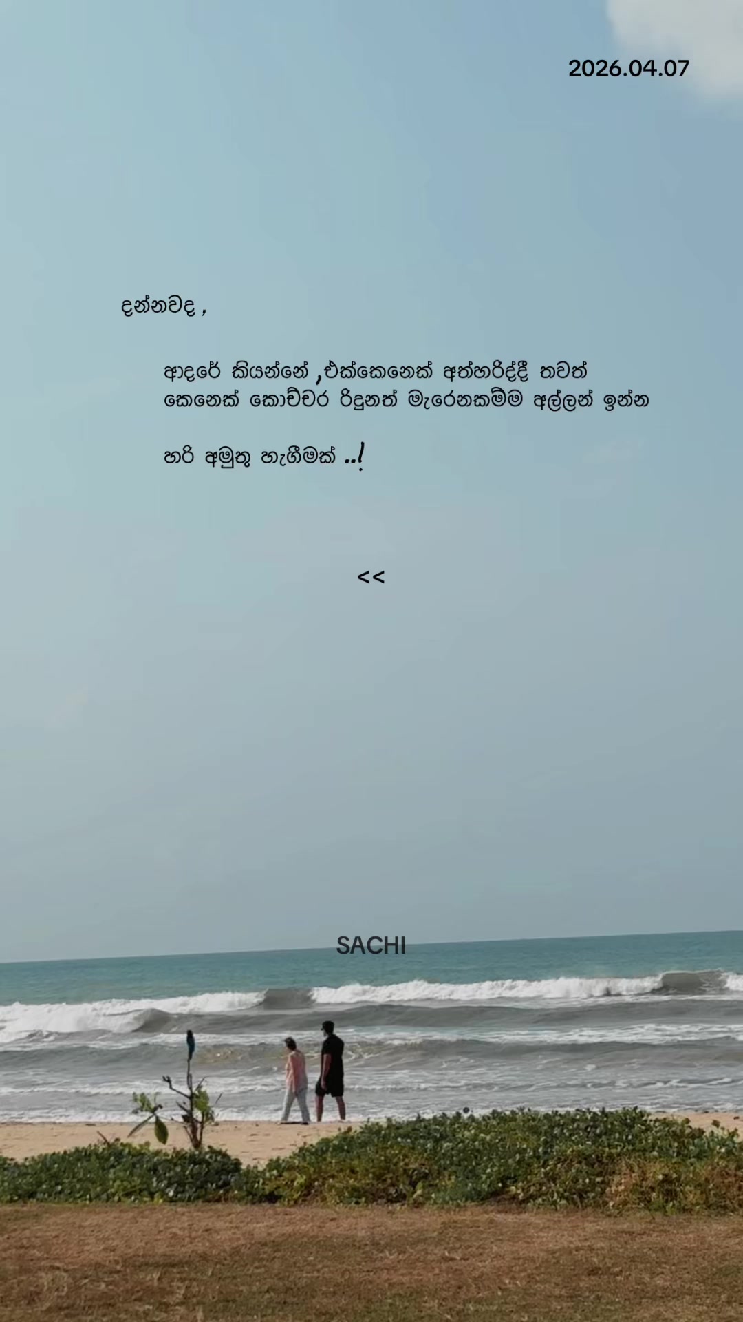 @𝙈𝙍 . 𝙎𝘼𝘾𝙃𝙄 :◉༒◉