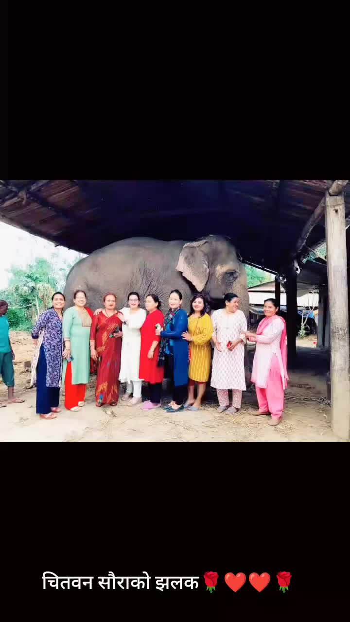 @narmatisingjali