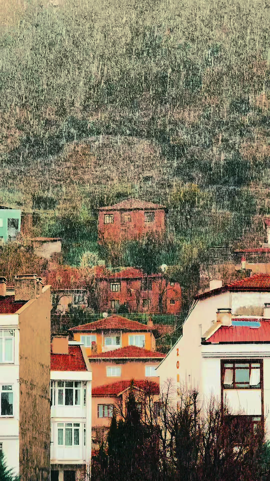 @ցս̈νεռ ժεร̧էȋօց̆lս