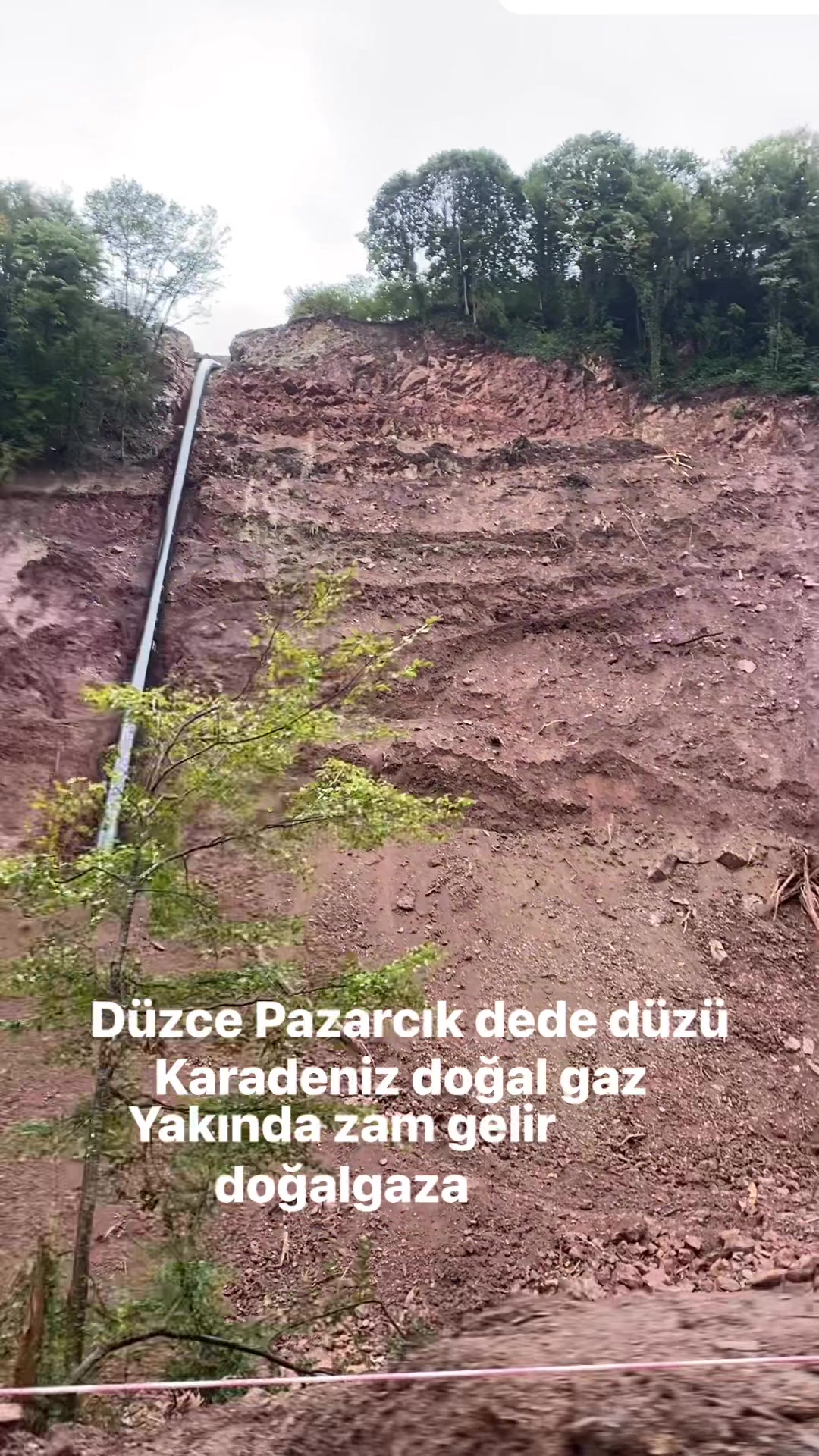 @Turan Çiçek