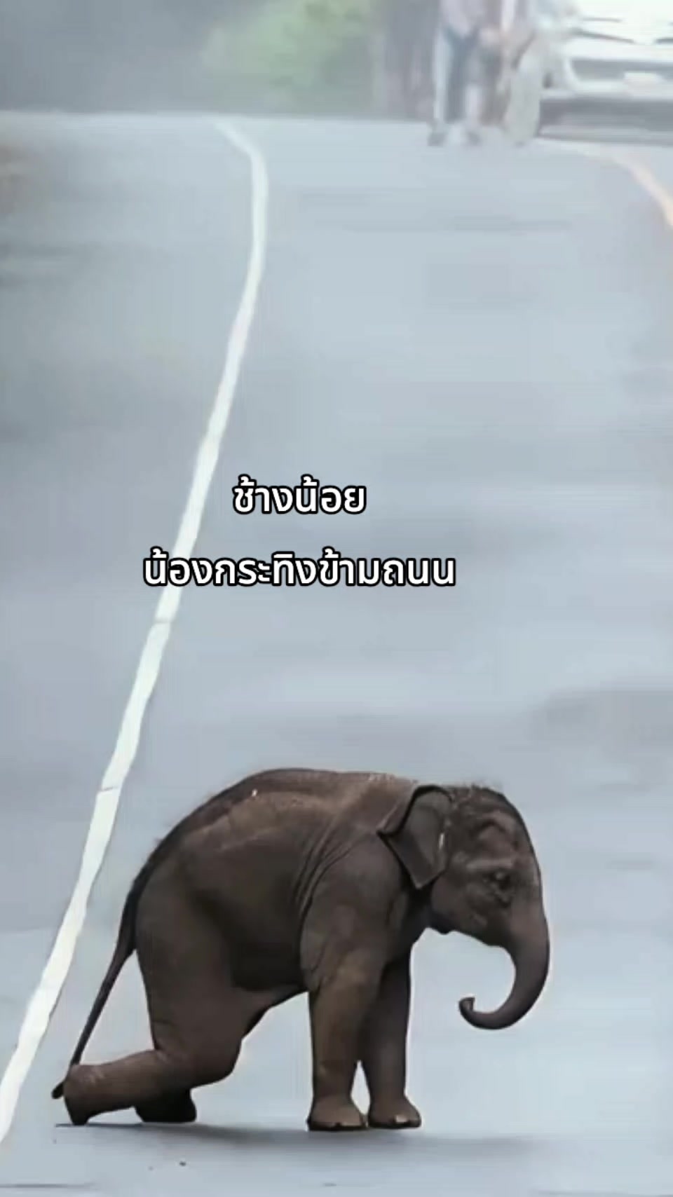 @พี่จอห์น