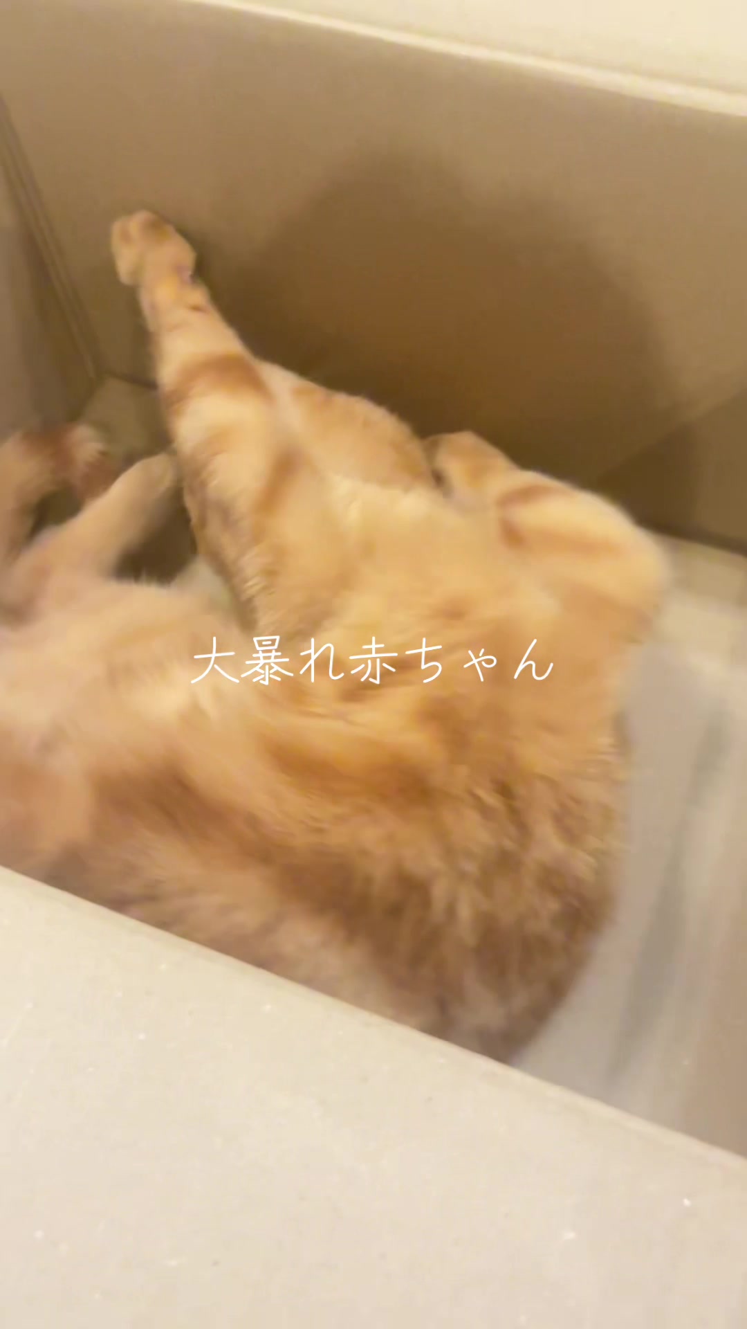 @さまむ〜